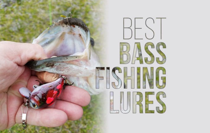 Using Dog Food To Attract Bass